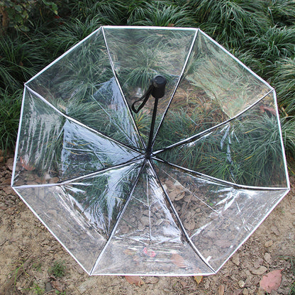 MiniVision Automatic Transparent Umbrella - the tiniest automatic clear canopy umbrella!