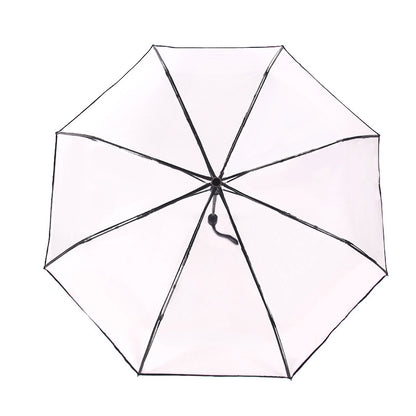 MiniVision Automatic Transparent Umbrella - the tiniest automatic clear canopy umbrella!