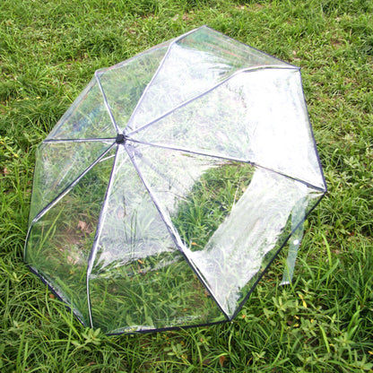 MiniVision Automatic Transparent Umbrella - the tiniest automatic clear canopy umbrella!