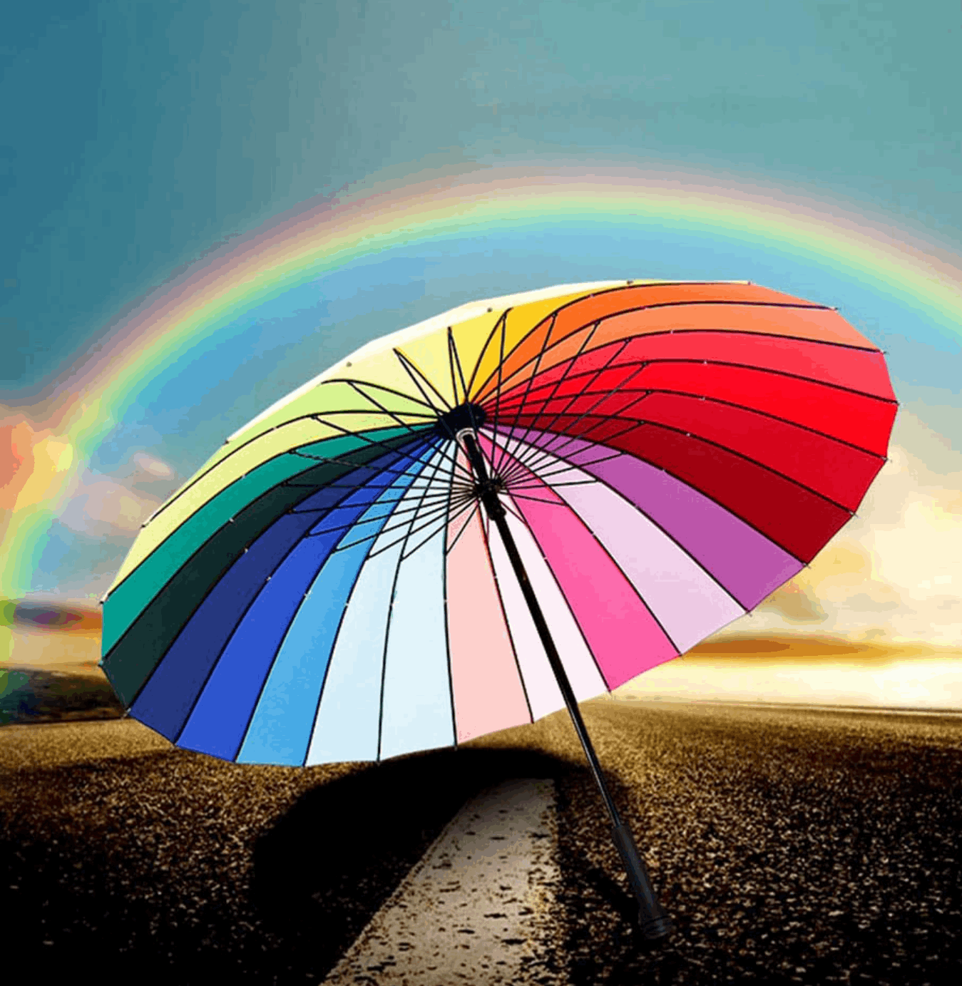 The Rainbow Umbrella