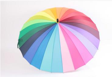 The Rainbow Umbrella