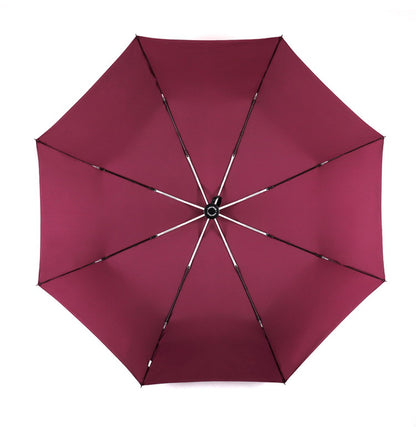 Stylish Automatic Folding Executive Umbrella - thebrollystore.com